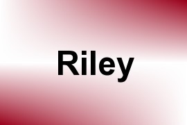 Riley - Given Name Information and Usage Statistics